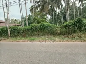Main Road Facing Land for Sale Dagonna