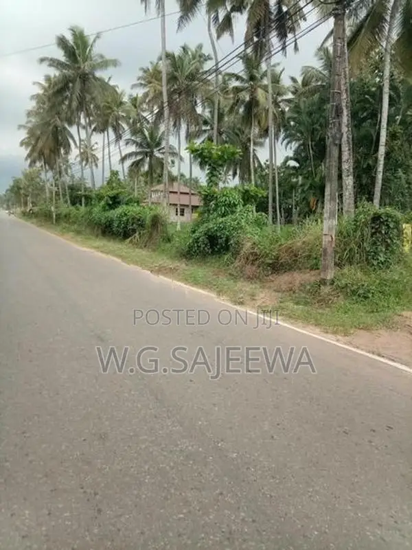 Main Road Facing Land for Sale Dagonna