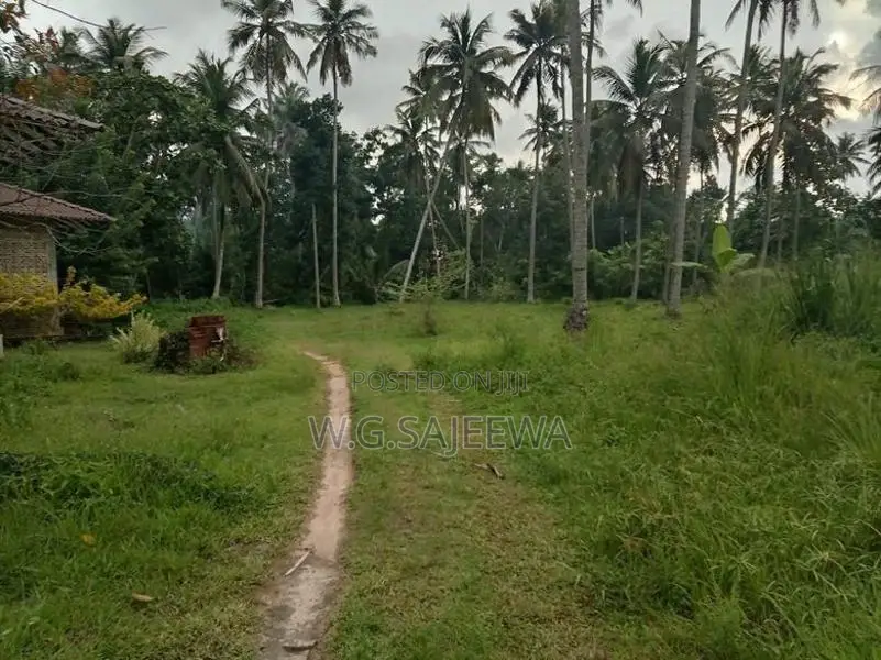 Main Road Facing Land for Sale Dagonna