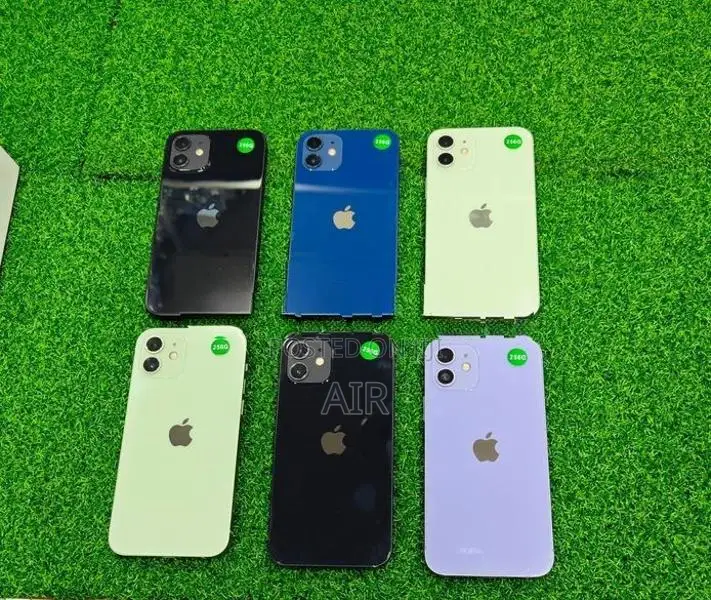 Apple iPhone 12 256GB (Used)