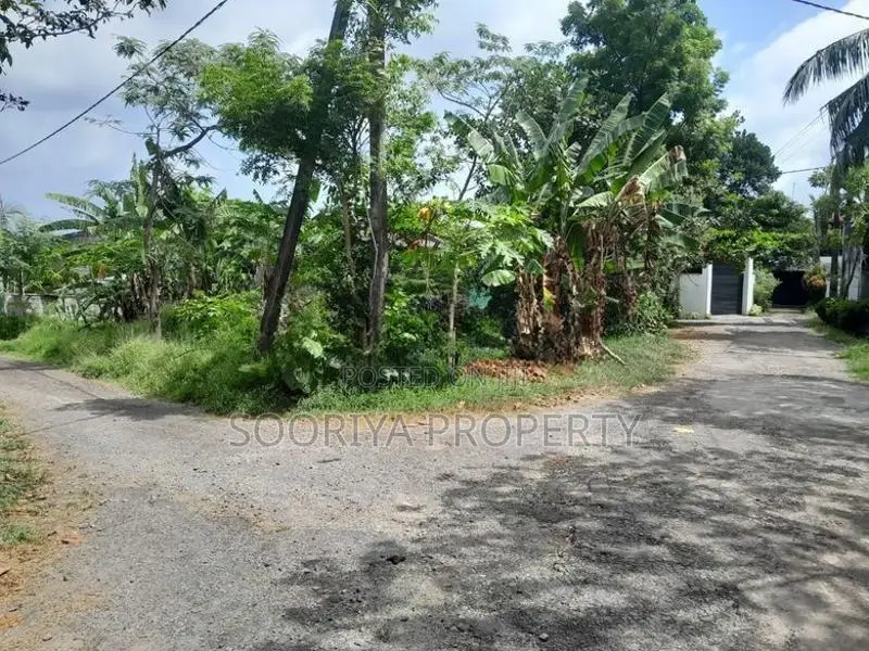 9 Perches Blocking out Land for Sale in Piliyandala Suwarapola