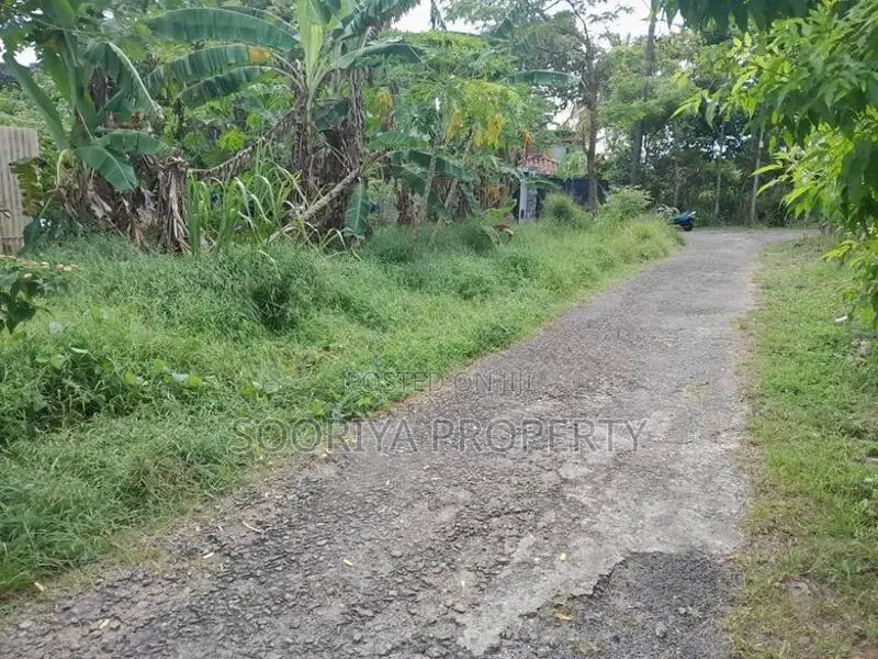 9 Perches Blocking out Land for Sale in Piliyandala Suwarapola