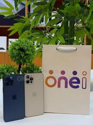 Apple iPhone 12 Pro 256GB (Used)