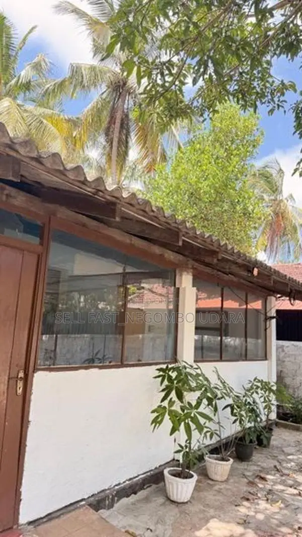 House for Rent in Negombo