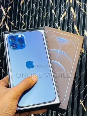 Apple iPhone 12 Pro Max (Used)