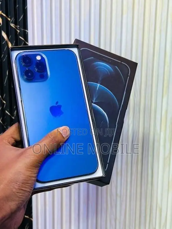 Apple iPhone 12 Pro Max (Used)