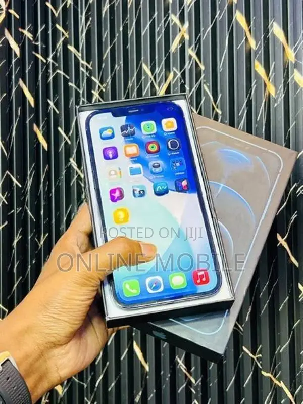 Apple iPhone 12 Pro Max (Used)