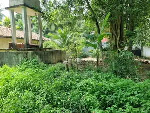ගම්පහ මිරිස්වත්ත පාරෙන් පහසු ප්‍රවේශයක් සහිත වටිනා ඉඩමක්