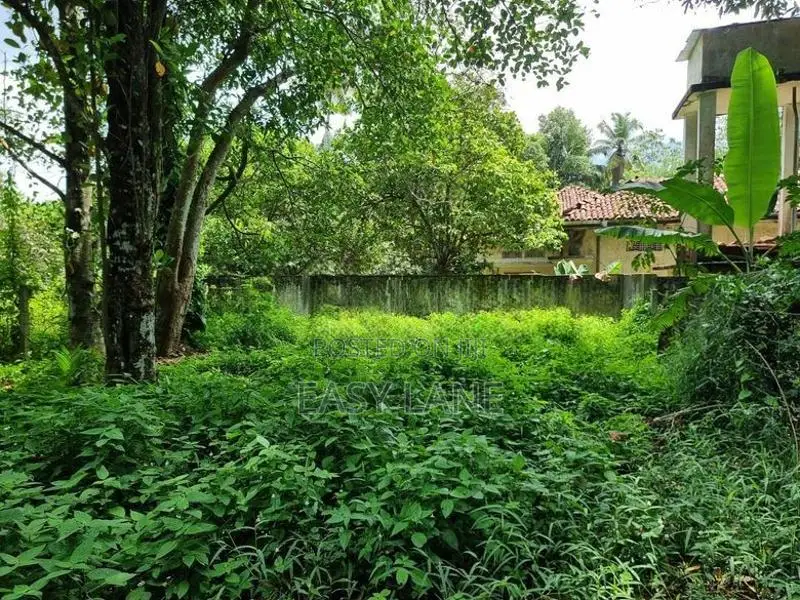 ගම්පහ මිරිස්වත්ත පාරෙන් පහසු ප්‍රවේශයක් සහිත වටිනා ඉඩමක්