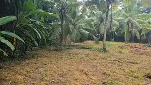 161 Perch Land for Sale Katana Negombo