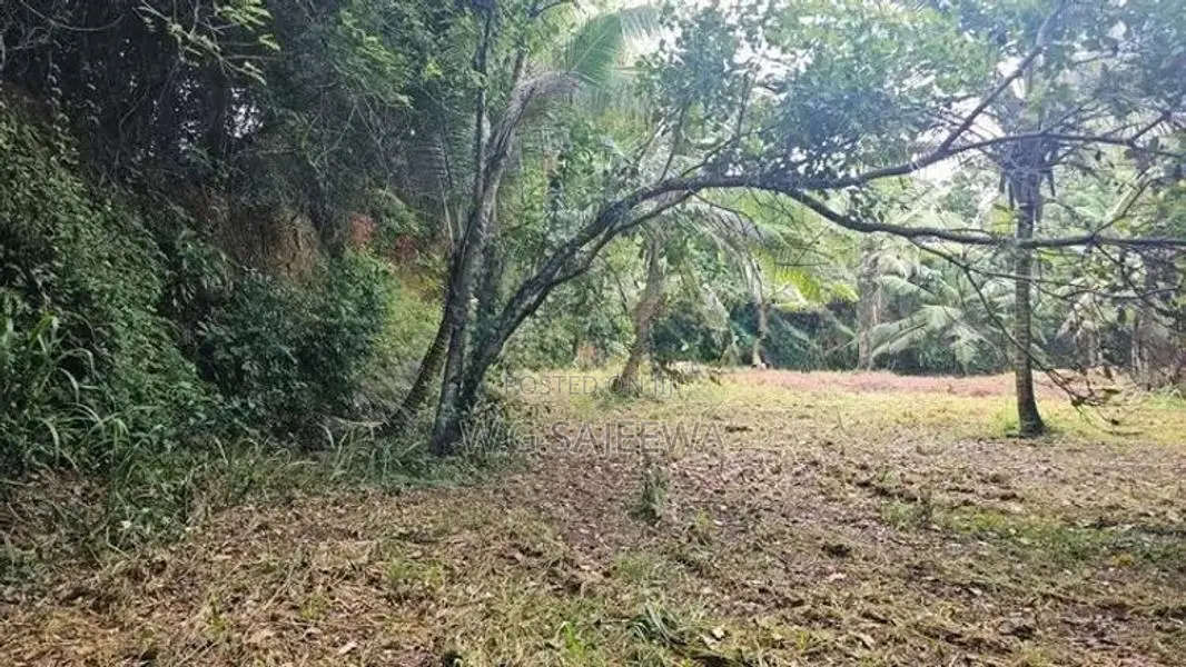161 Perch Land for Sale Katana Negombo
