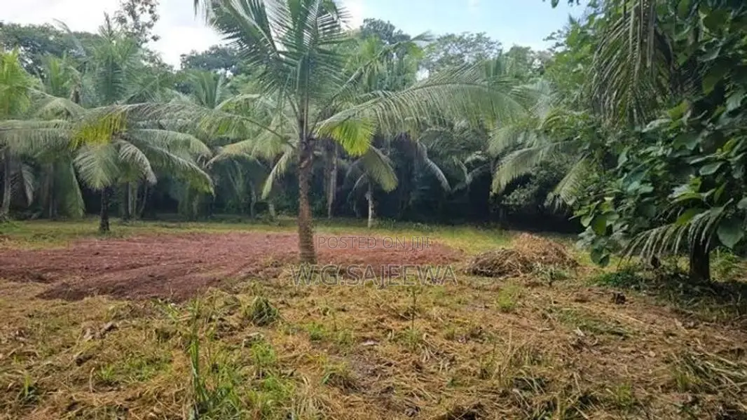 161 Perch Land for Sale Katana Negombo