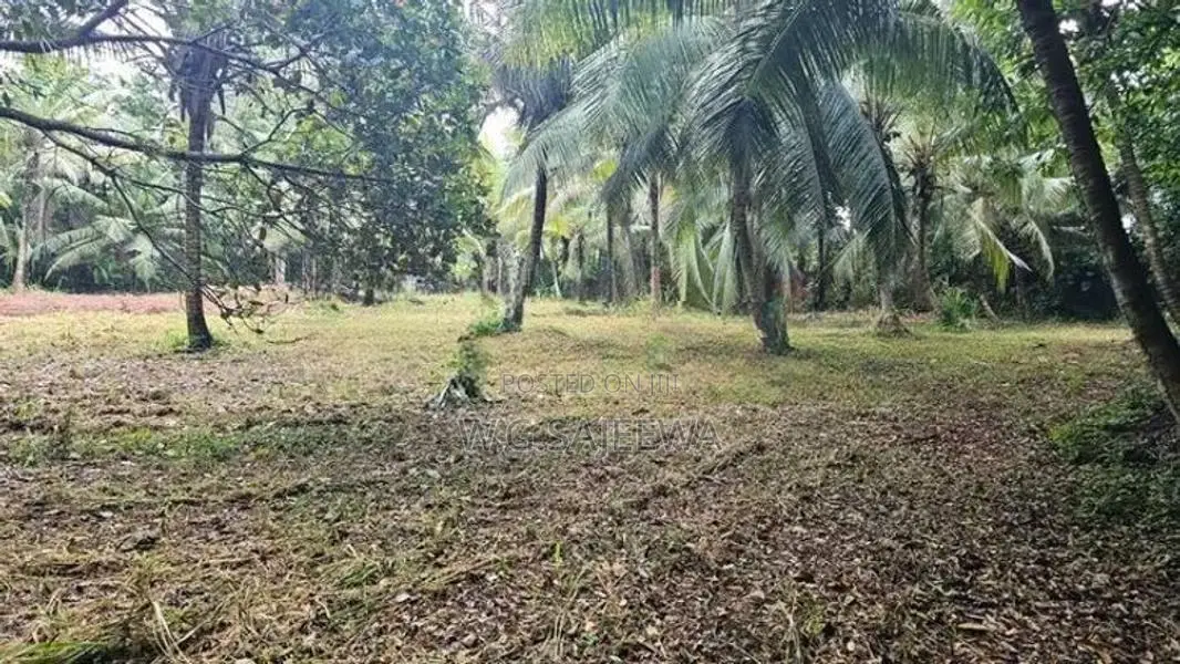 161 Perch Land for Sale Katana Negombo