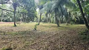 161 Perch Land for Sale Katana Negombo