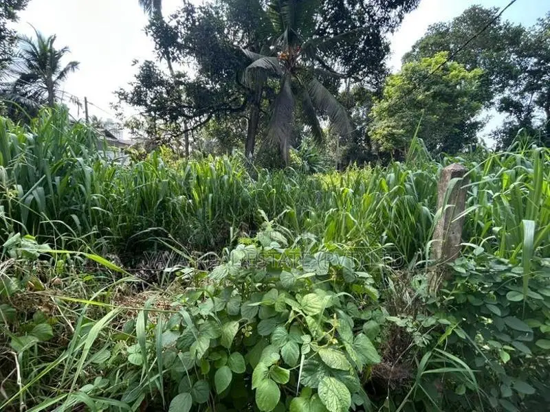 Residential Land for Sale in Thalawathugoda Talawatugoda