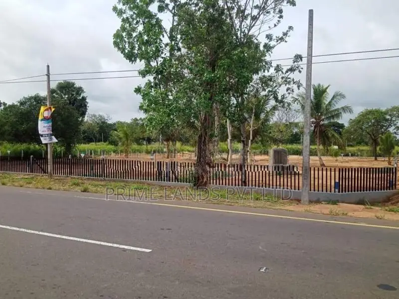 Land for Sale in Face to Anuradhapura Puttalam Road