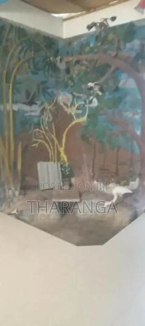 ground floor house for rent in athidiya