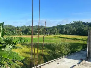 Commercial Property for Sale in Rathmale,Matara