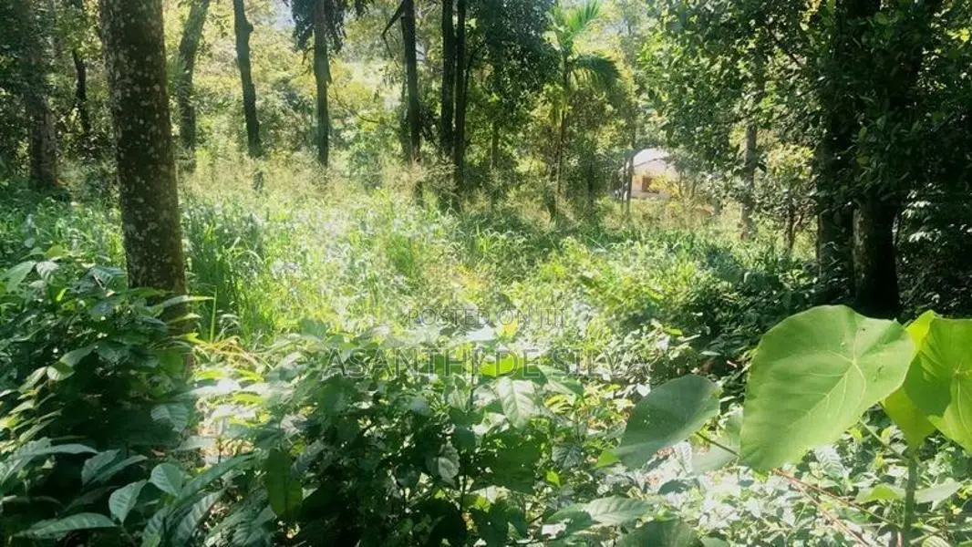 Land with House for Sale in Hindagala