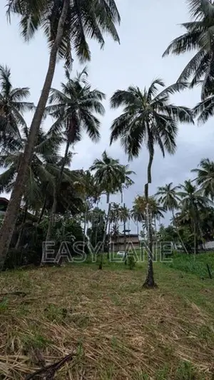 කඩවත මාවරමන්ඩිය නිවසක් ඉදිකිරීමට සුදුසු වටිනා ඉඩමක්විකිණීමට.