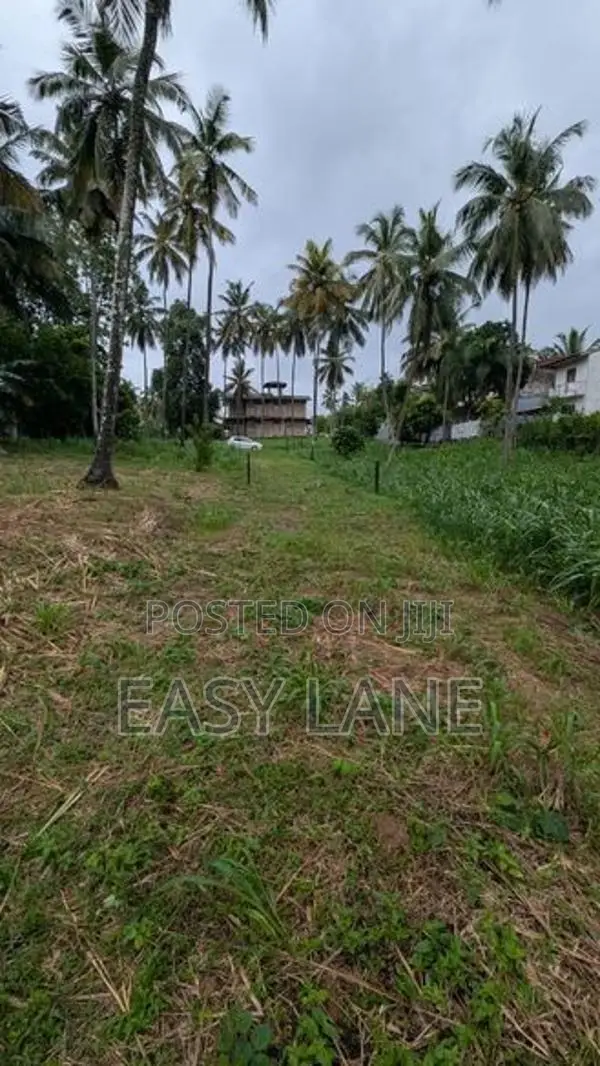 කඩවත මාවරමන්ඩිය නිවසක් ඉදිකිරීමට සුදුසු වටිනා ඉඩමක්විකිණීමට.