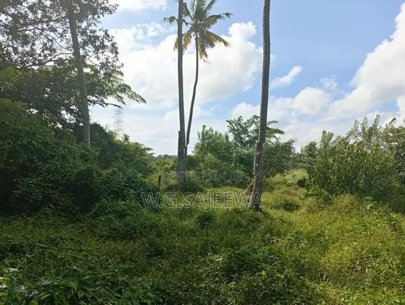 25 Perch Land for Sale Opatha