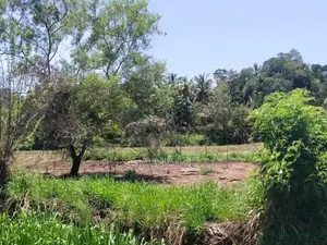 කොළඹ කුරුණෑගල මාර්ගයට මුහුණලා 40p කුඹුරු ඉඩමක්