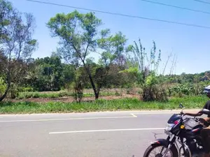 කොළඹ කුරුණෑගල මාර්ගයට මුහුණලා 40p කුඹුරු ඉඩමක්