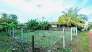 15 Perches Land For Sale IN ELUWILA,PANADURA