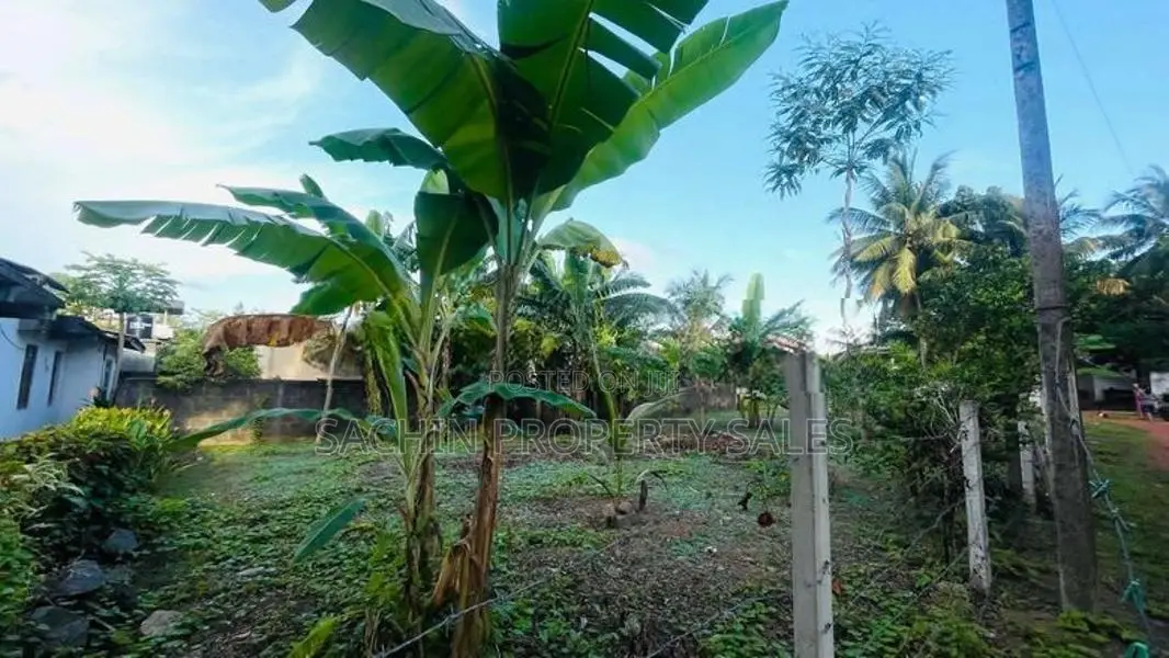15 Perches Land For Sale IN ELUWILA,PANADURA