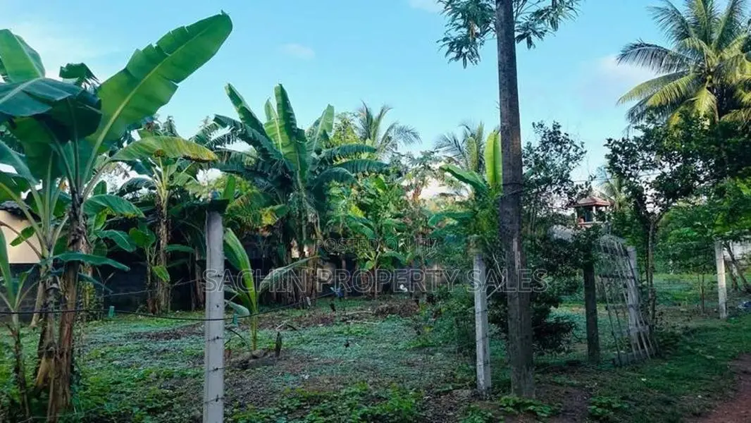15 Perches Land For Sale IN ELUWILA,PANADURA
