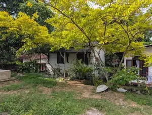 Two Prime Lands For Sale – Gamunu Mawatha, Kiribathgoda