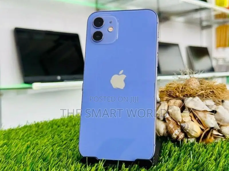 Apple iPhone 12 (Used)
