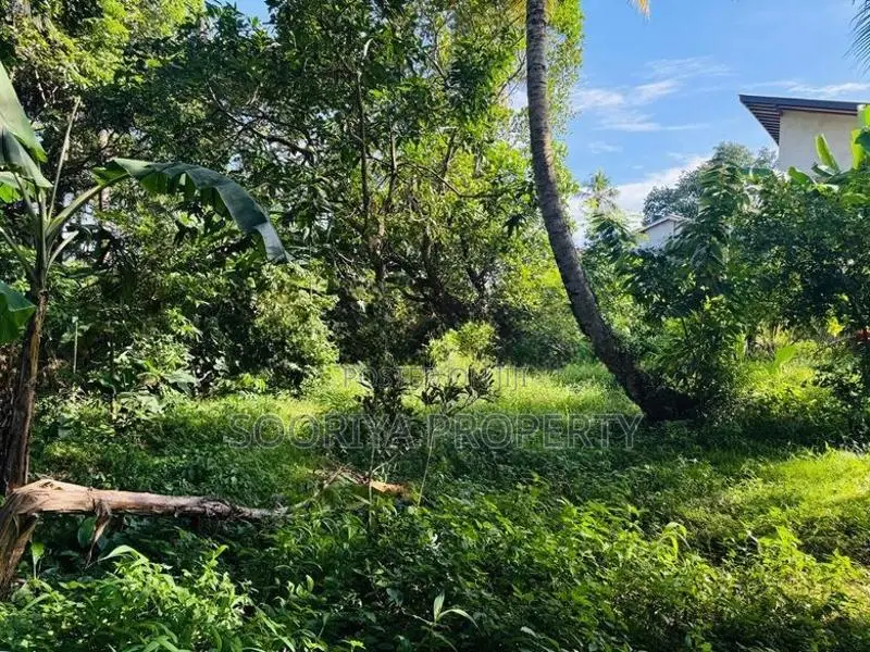 Commercial Land for Sale in Piliyandala