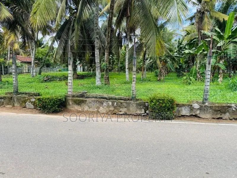 Commercial Land for Sale in Piliyandala