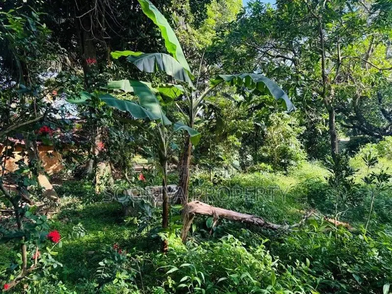 Commercial Land for Sale in Piliyandala