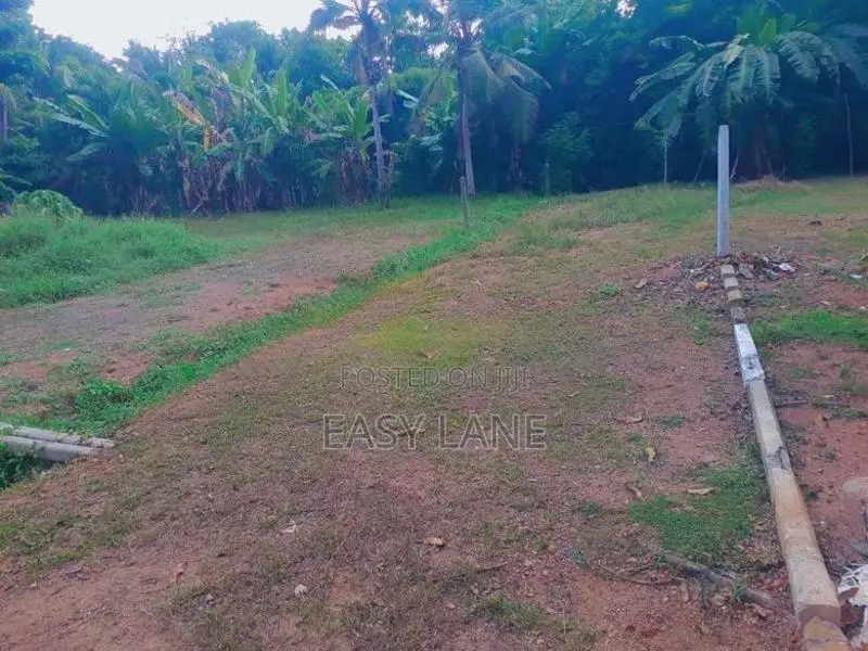 වාද්දූව දකුණු තල්පිටියෙන් වටිනා බිම් කොටස් විකිණීමට