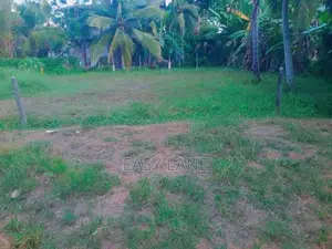 වාද්දූව දකුණු තල්පිටියෙන් වටිනා බිම් කොටස් විකිණීමට