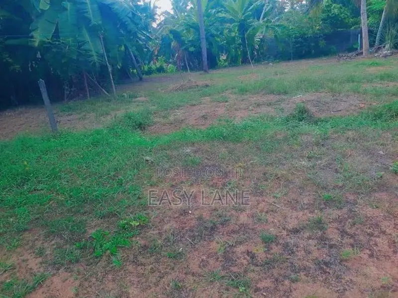 වාද්දූව දකුණු තල්පිටියෙන් වටිනා බිම් කොටස් විකිණීමට