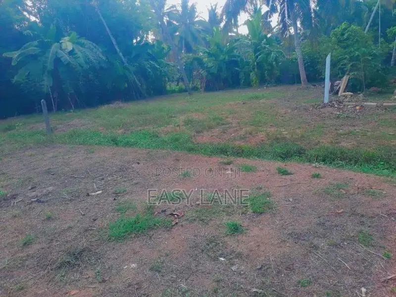 වාද්දූව දකුණු තල්පිටියෙන් වටිනා බිම් කොටස් විකිණීමට