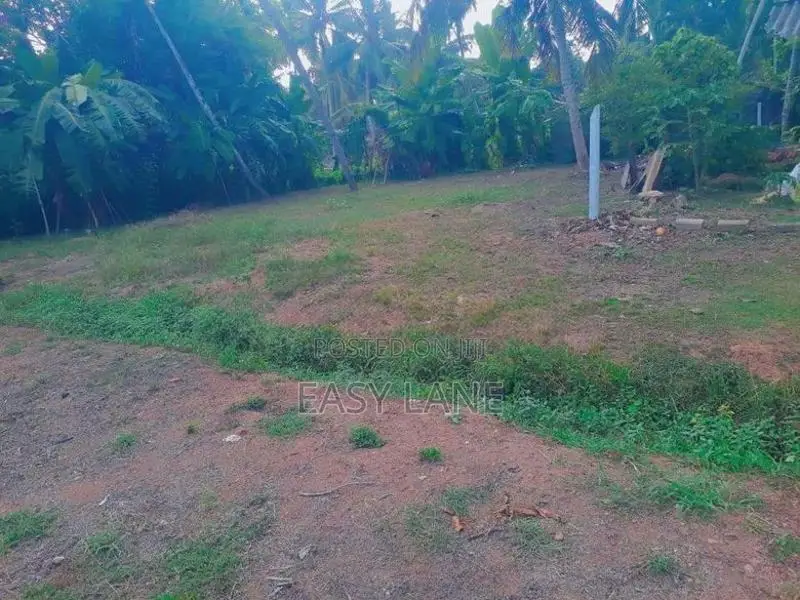 වාද්දූව දකුණු තල්පිටියෙන් වටිනා බිම් කොටස් විකිණීමට