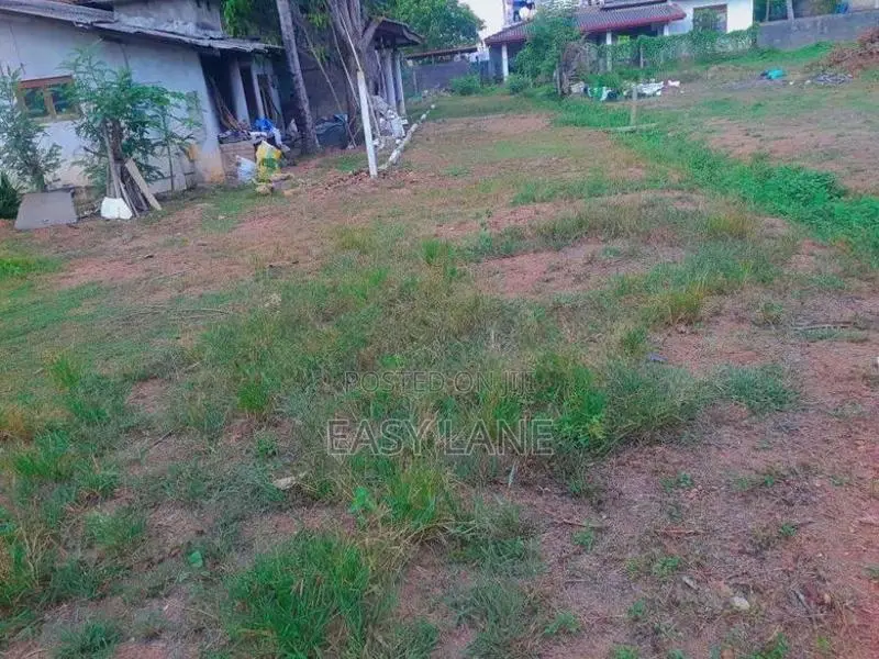 වාද්දූව දකුණු තල්පිටියෙන් වටිනා බිම් කොටස් විකිණීමට