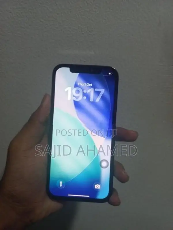 Apple iPhone 12 Pro (Used)