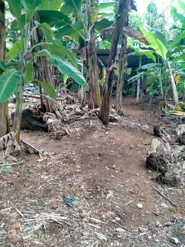 Land for Sale in Koralaima