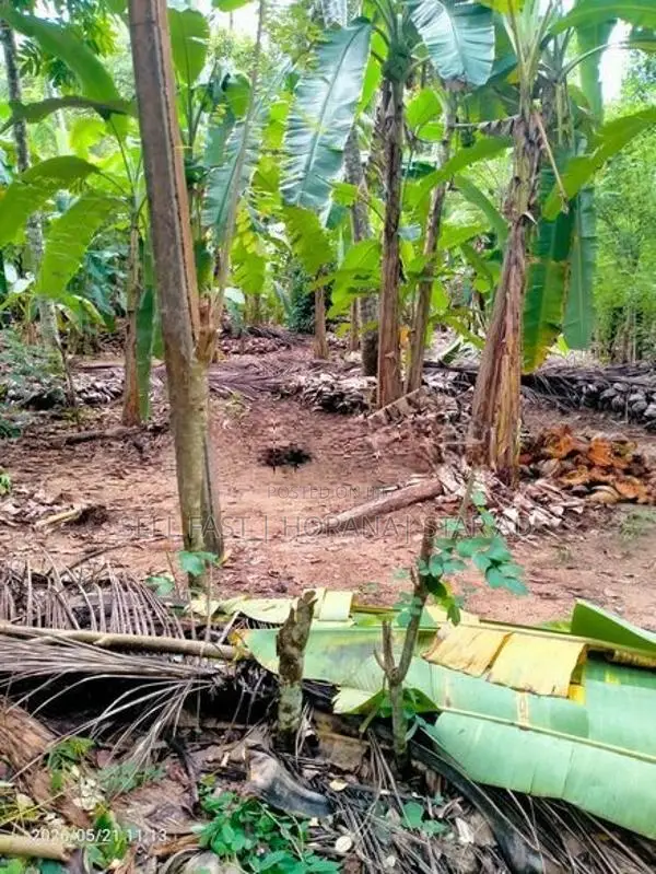 Land for Sale in Koralaima