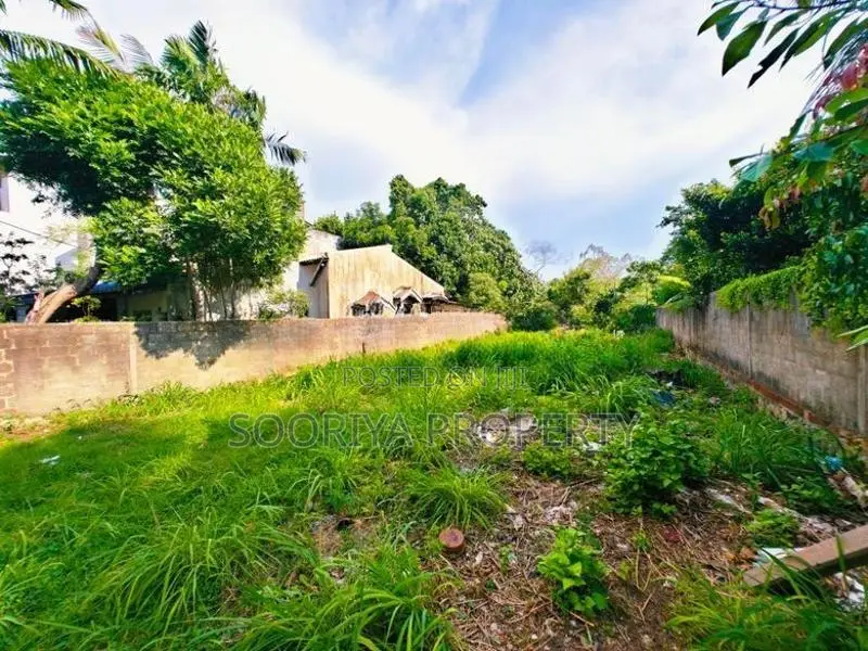 Valuable Land for Sale in Ja-Ela