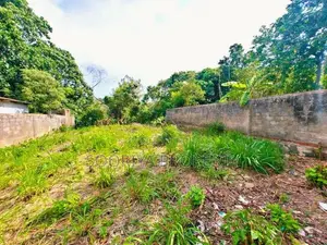 Valuable Land for Sale in Ja-Ela