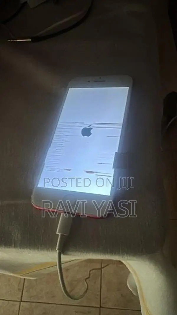 Apple iPhone 7 (Used)
