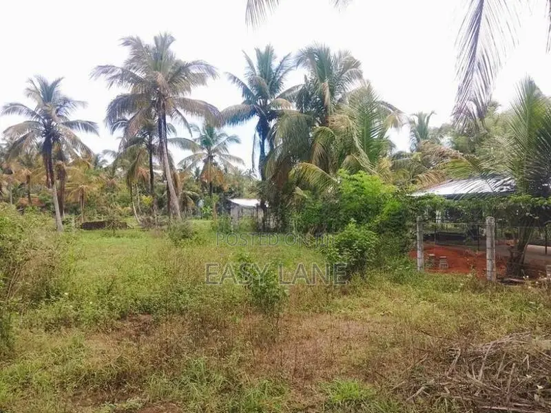 කුලියාපිටිය - පළුගමුවෙන් ඉතාමත් වටිනා බිම් කොටසක්