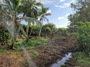 Prime Lake View Land for Sale Horana Moronthuduwa Road